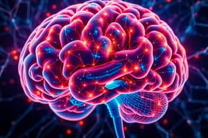 Neuropsychiatry and Cognitive Neuroscience Quiz