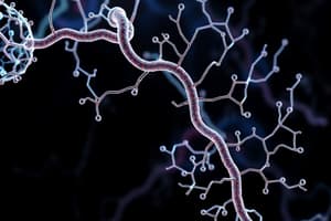 Glycolysis Overview and Mechanism