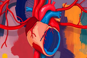 Cardiovascular System Overview