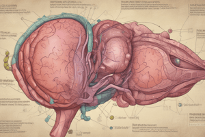 Liver Function and Skin Health