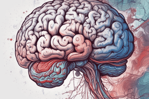 Risk Factors for Brain Abscesses