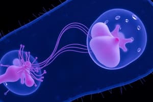 Protozoa Reproduction and Structure Quiz