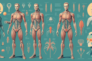 SEM_12_Development of the Urinary System