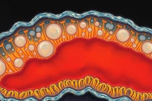 Cell Structure and Function