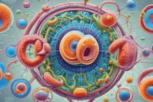 Cell Cycle Checkpoints and Regulation Quiz