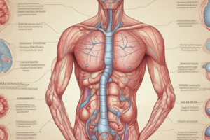 Endocrine System Study Guide: Diabetes and More