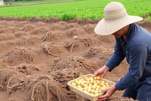 Food Sources and Farming Systems Overview