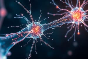 Cytosquelette - Microtubules