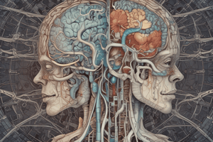 WK 2: Somatosensory System and Neuronal Signaling