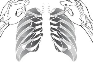 Radiología Clínica del Sistema Musculo-esquelético