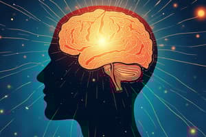 Consciousness and Unconsciousness Debate