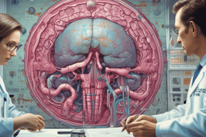 Surgical Pathology Specimen Examination