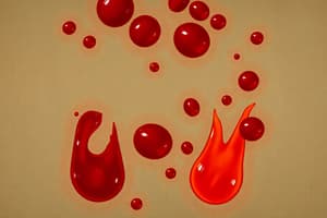 Blood Types and Compatibility Quiz