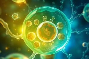 Cell Organelles and Their Functions