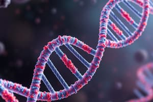 DNA Replication in Prokaryotes and Eukaryotes