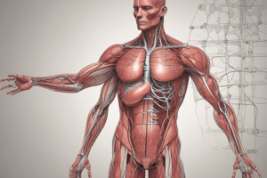 Anatomy and Function of the Heart