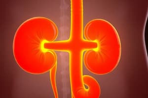 Renal Circulation and Glomerular Filtration