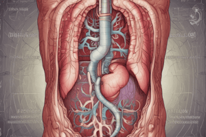 Stomach Lining and Digestion