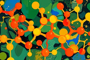 Carbohydrates and Monosaccharides Overview