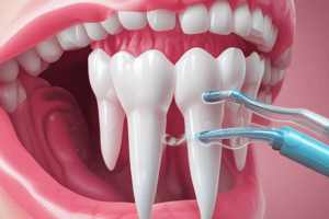 Dental Hygiene Terminology: Perio Chart and Prophy