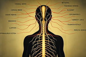 Cranial Nerves Quiz