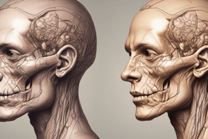 Scalp Anatomy and Clinical Notes