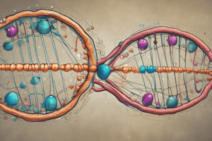 Genetics: Cell Nucleus and DNA Structure