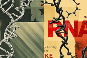 DNA and RNA Comparison Quiz