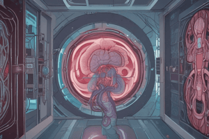 MRI in Acute Ischemic Infarction Diagnosis