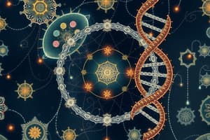 Cell Division and Cell Cycle Quiz