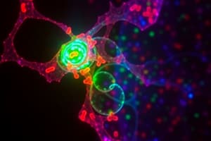 Immunofluorescence Techniques