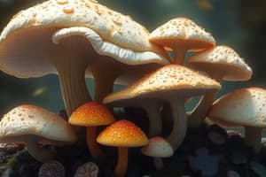 Fungi and Mycoses Quiz