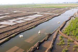 Drought in China and Its Effects on Agriculture