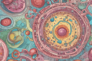 Cellular Classification: Prokaryotic vs Eukaryotic Cells