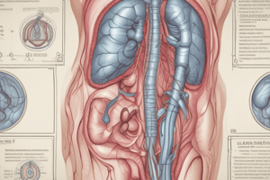 Appendicitis Clinical Significance