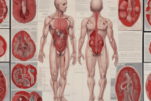 Human Perspectives ATAR Units 1 & 2 Chapter 5: Blood Removal Effects and Body Importance