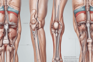 Axial Flaps of the Lower Extremity