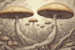 Fungi and Ecosystems