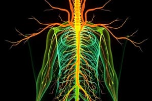 Lecture 5 Autonomic Nervous System Overview