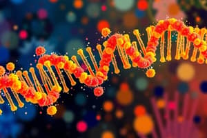 Non-coding RNAs Overview