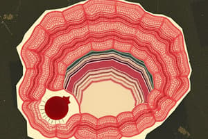 Types of Epithelia Overview