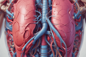 Anatomy: Thoracic and Abdominal Cavities