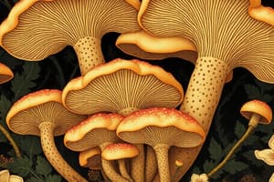 Fungal Biology Quiz