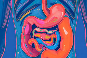 The Digestive System: A Journey Through the Alimentary Canal