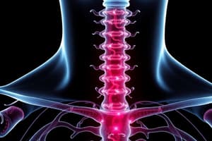 Thyroid and Parathyroid Glands