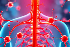 Parasympathetic Nervous System Overview