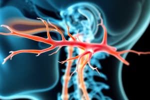 Trigeminal Nerve Branches Quiz