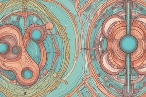 Mitosis and Cell Division