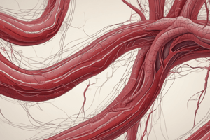 HEA1091: Blood Vessels and Blood Overview