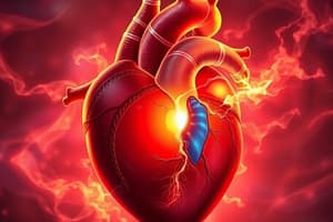 Ventricular Septal Defect Overview